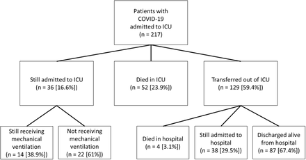 Figure 1A.