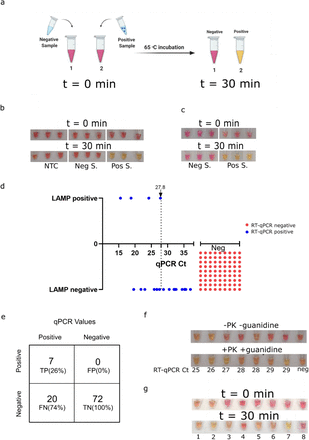 Fig 1: