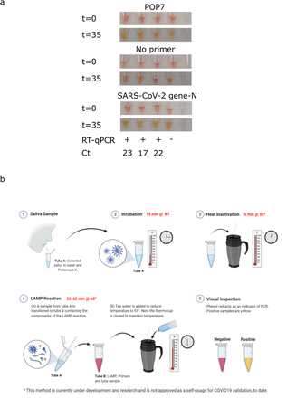 Fig 3: