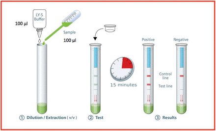 Figure 1: