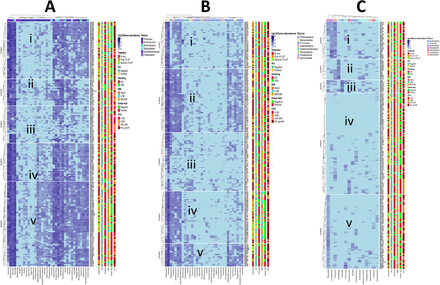 Figure 4: