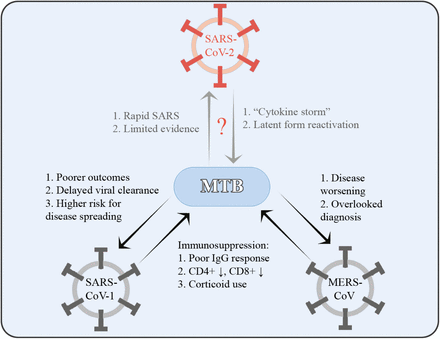 Figure 2 Legend.