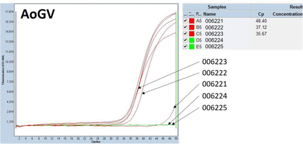 Figure 1: