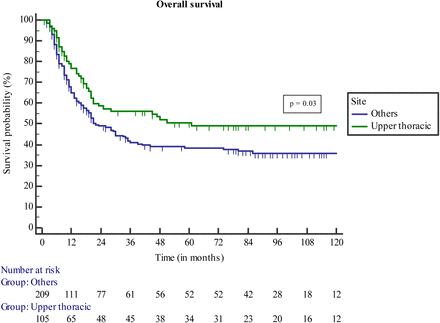 Figure 2b.