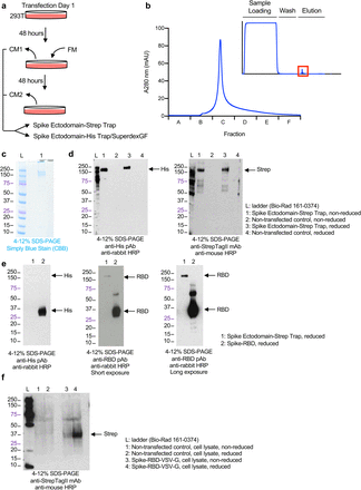 Figure 2: