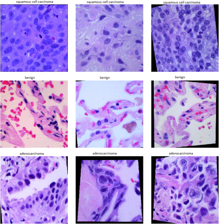 Figure 2: