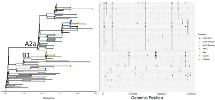 Appendix Figure 2: