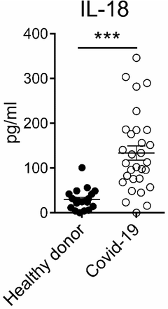 Supplemental Figure 3: