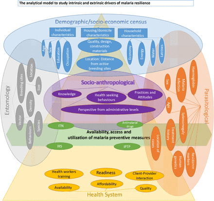 Figure 1: