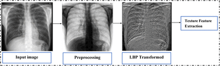 Figure 2: