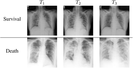 Fig. 8.