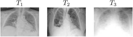 Fig. 9.