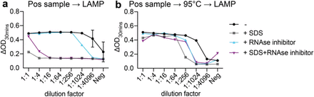 Figure 7: