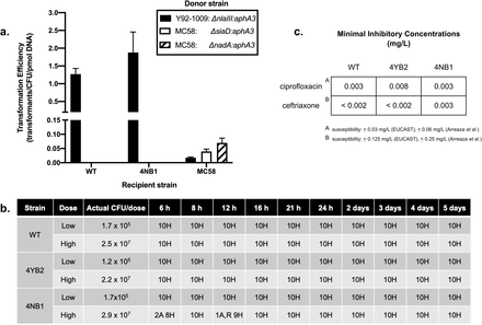 Figure 2: