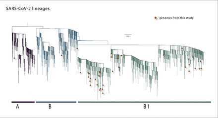 Figure 3.