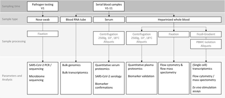 Figure 1: