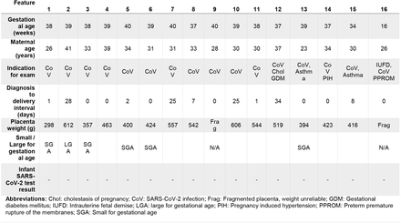 Table 1: