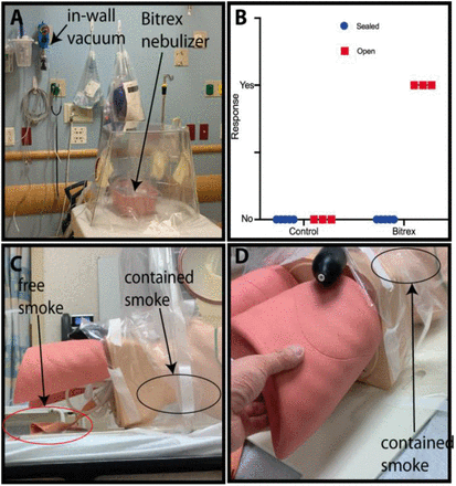 Figure 4: