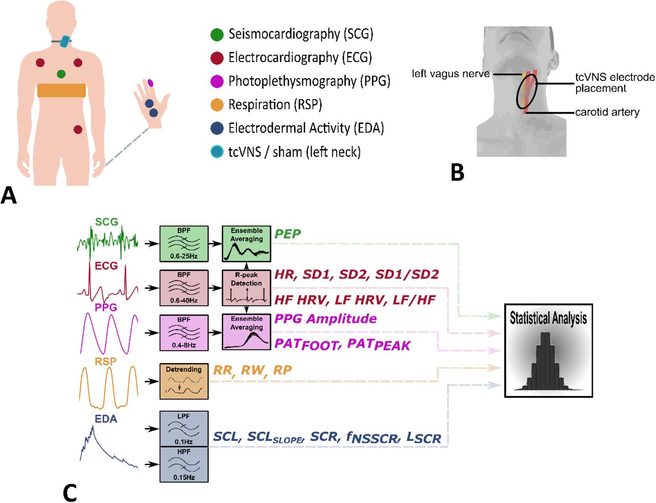 Transcutaneous Cervical Vagal Nerve Stimulation Reduces Sympathetic Responses To Stress In Posttraumatic Stress Disorder Medrxiv