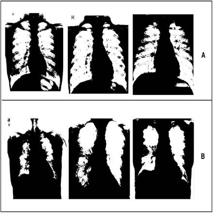 Fig. 5: