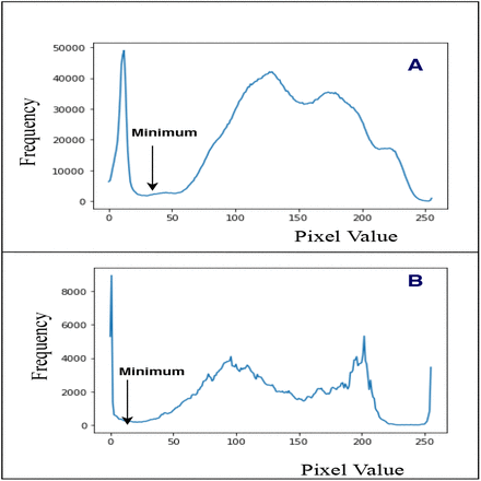 Fig. 6: