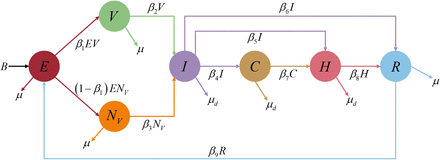 Figure 3: