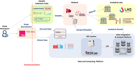 Figure 2: