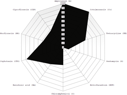 Figure 2: