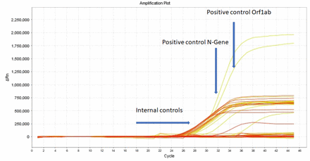 Figure 5: