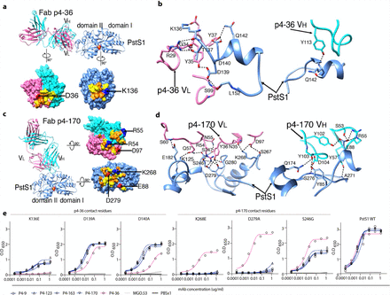 Figure 4: