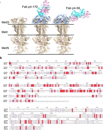 Figure 5: