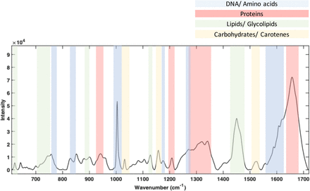 Figure 1: