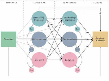 Figure 1: