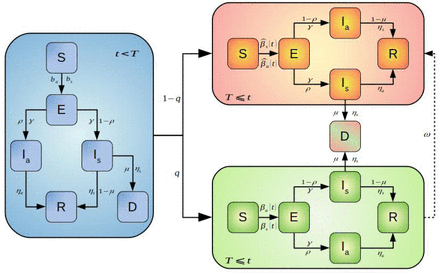 Figure 1: