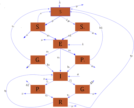 Figure 2: