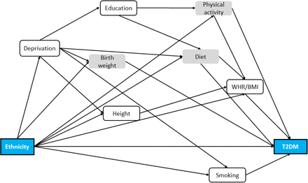 Figure 1: