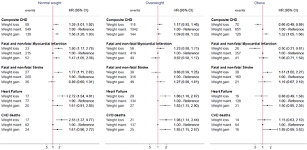 Figure 4;