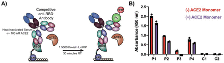 Supplemental Figure 6.