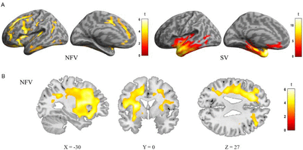 Figure 4: