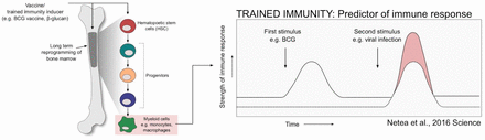 Figure 4: