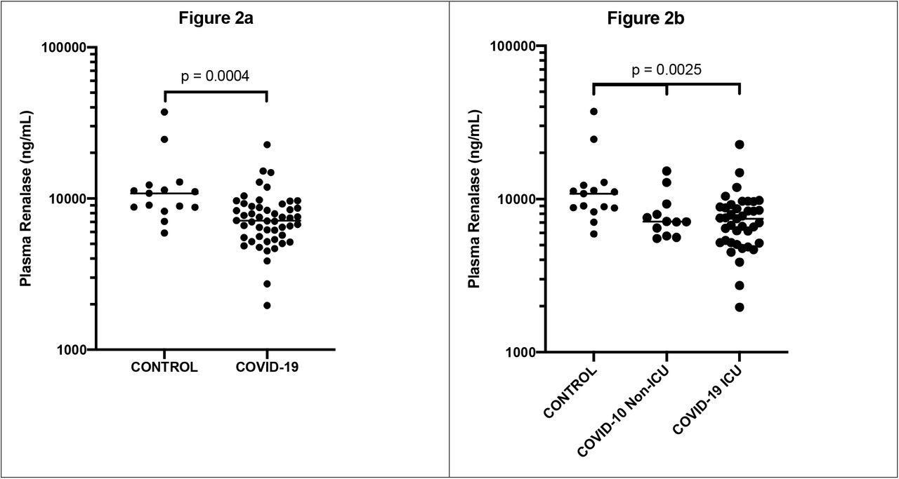 Decreased Plasma Levels Of The Survival Factor Renalase Are Associated With Worse Outcomes In Covid 19 Medrxiv
