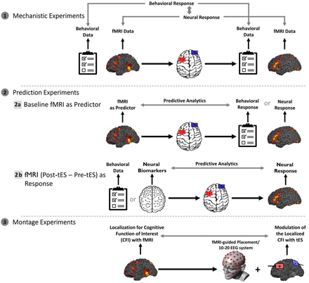 Figure 1: