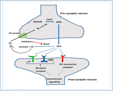 Figure 01.