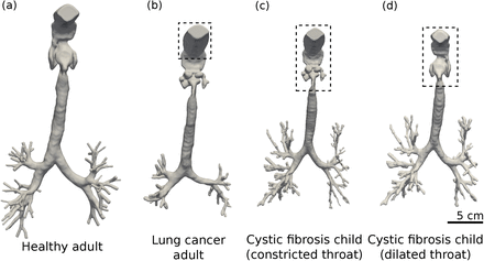 Figure 1: