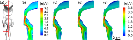 Figure 3: