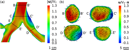 Figure 4: