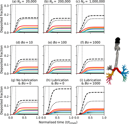 Figure 5: