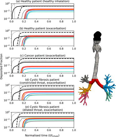 Figure 6: