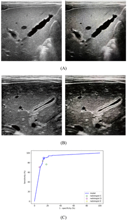 Fig. 3.