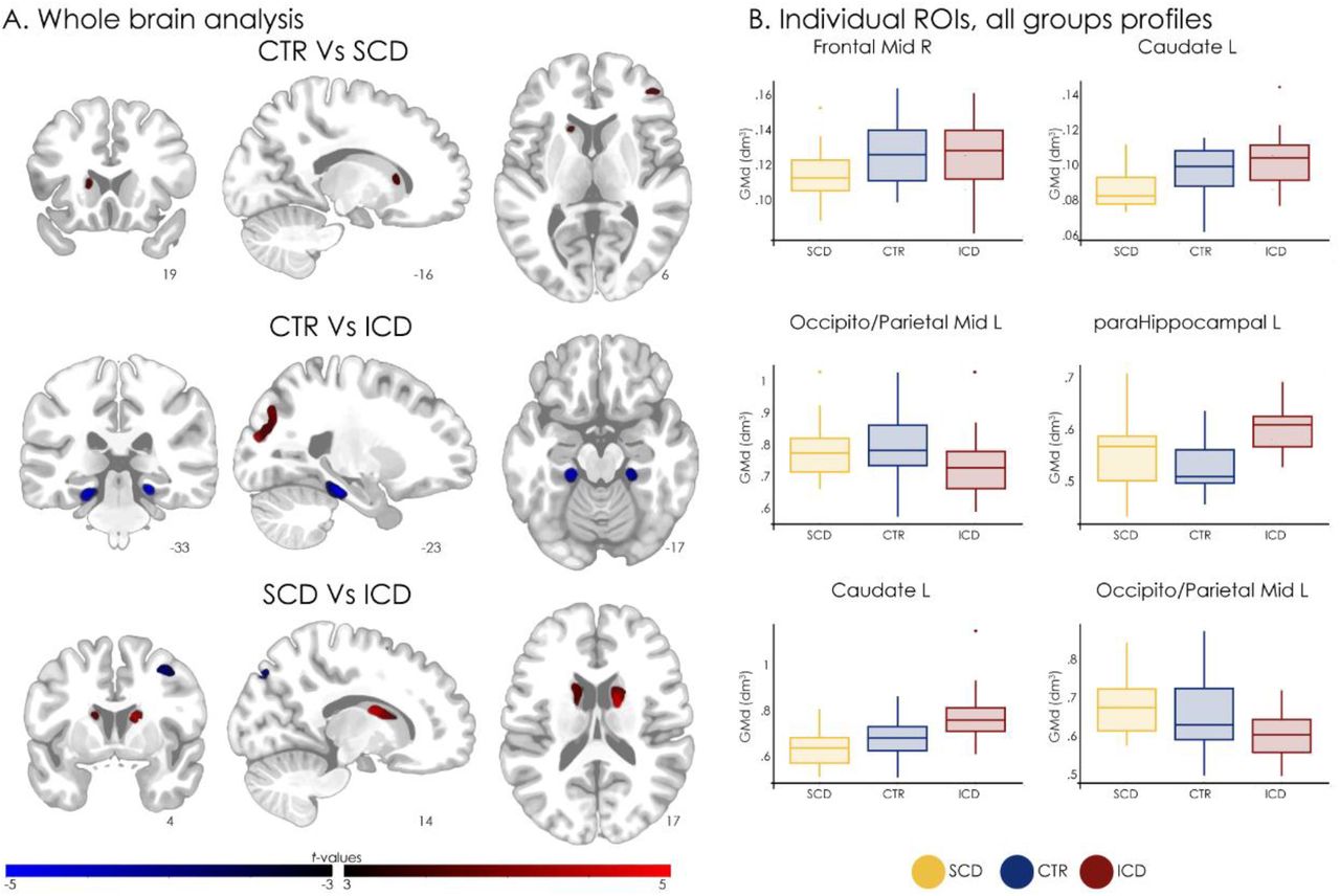 Results of whole brain analyses in the test scan. a The left parietal